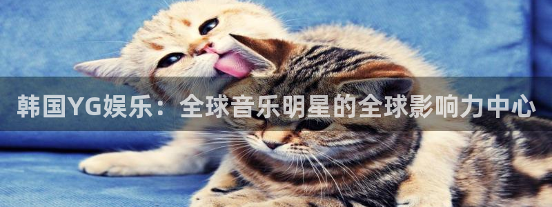 upload/20250701114914.jpg